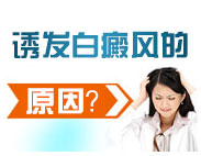 ͯ粡