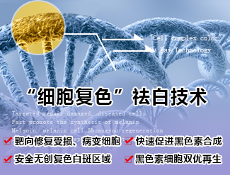 Ų综ע